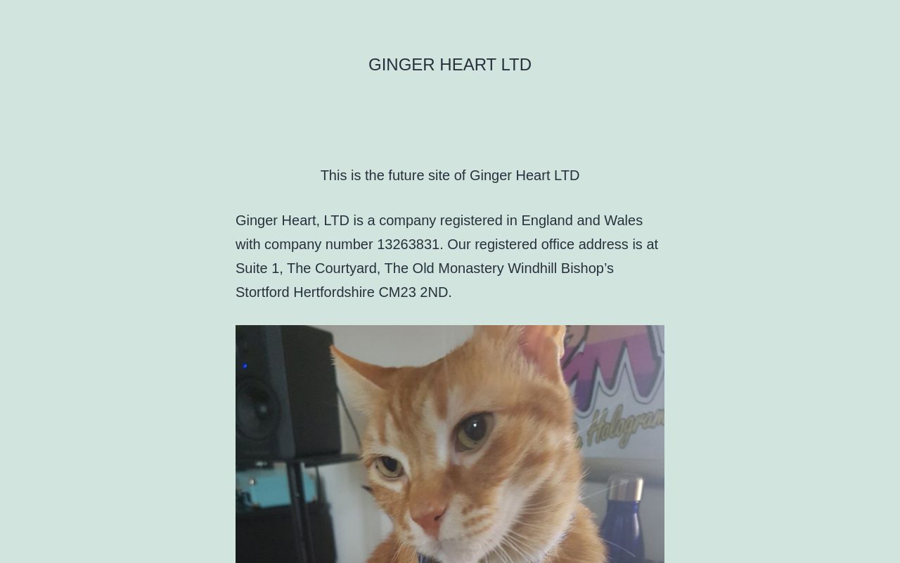 Ginger Heart LTD