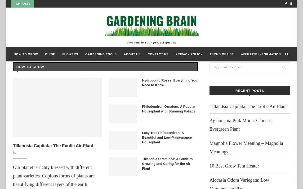 Gardening Brain