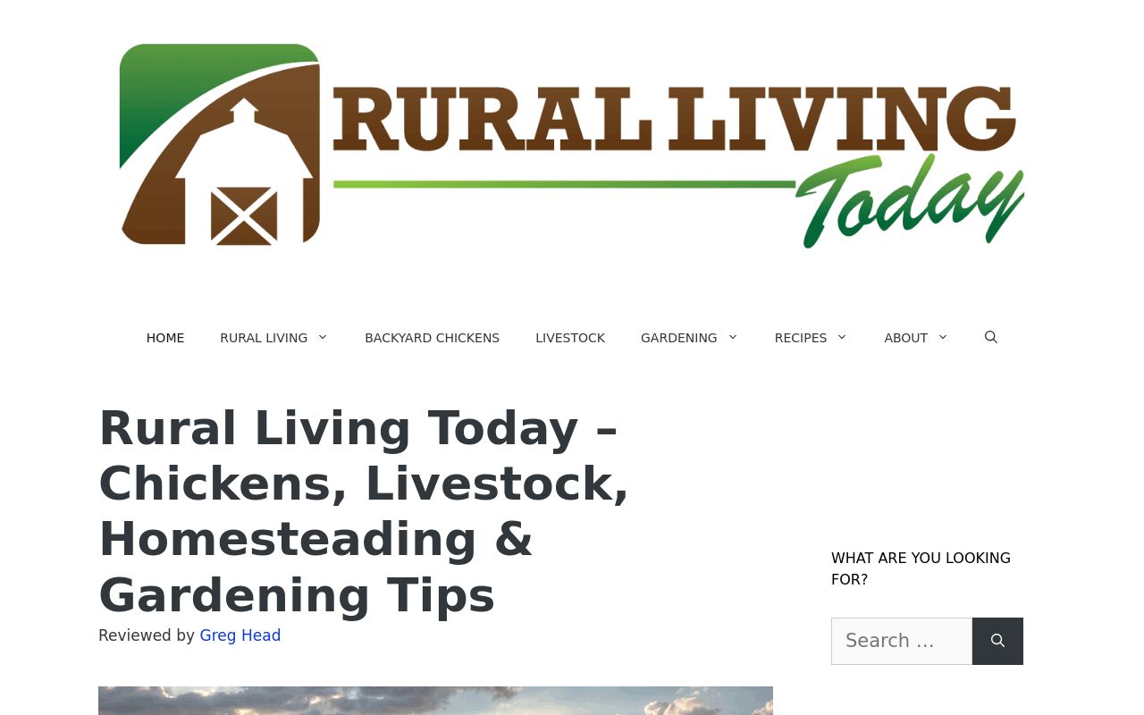 Rural Living Today Screenshot