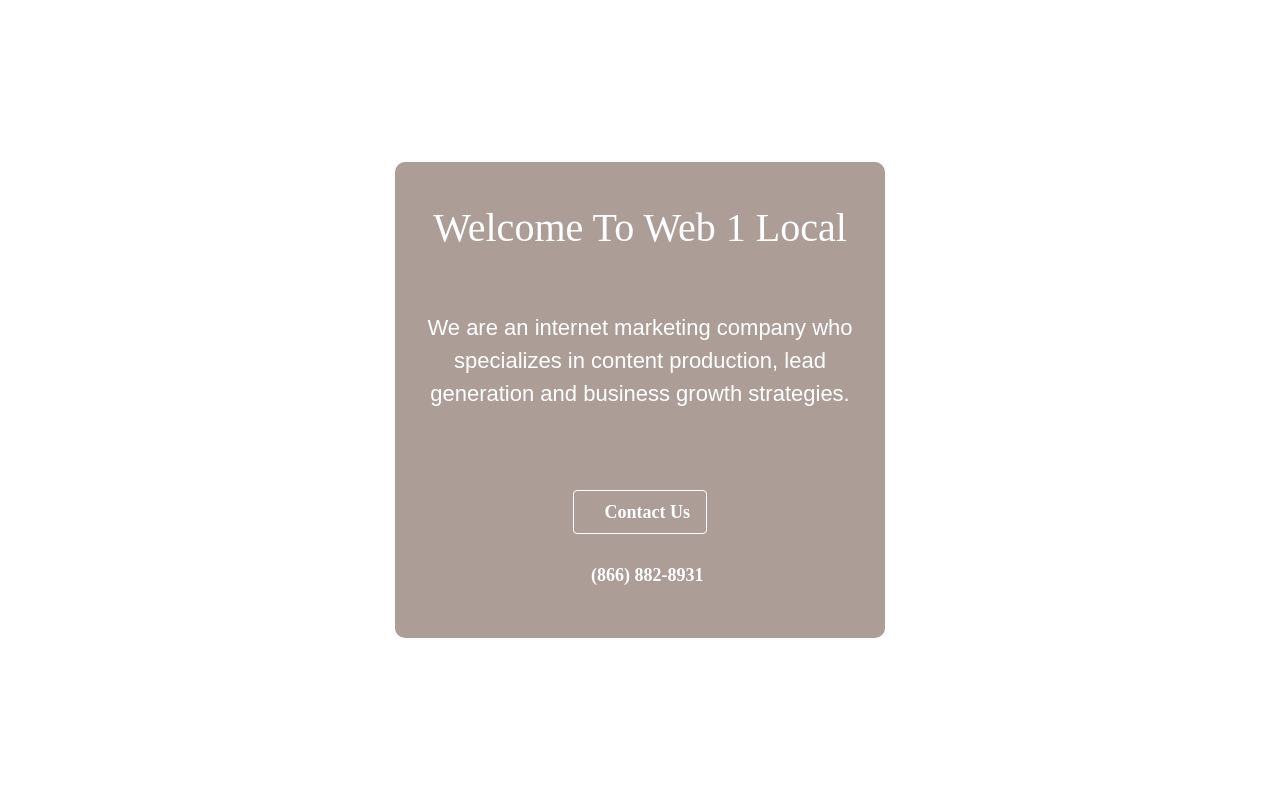 Web 1 Local LLC Screenshot